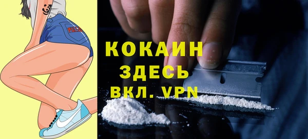 прущие грибы Алексин