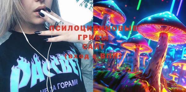 прущие грибы Алексин