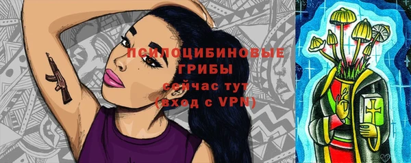 прущие грибы Алексин
