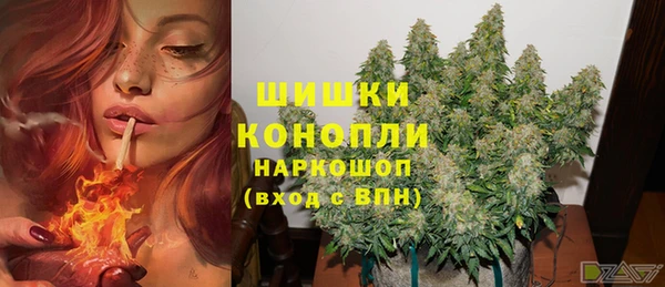 jwh Алзамай
