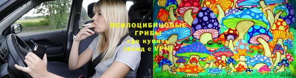 первитин Алексеевка