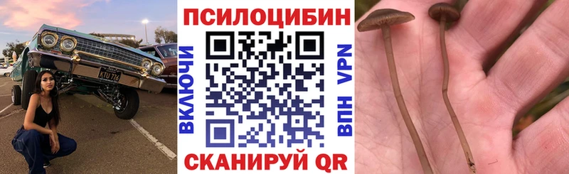 сайты даркнета как зайти  Пермь  Галлюциногенные грибы Magic Shrooms 